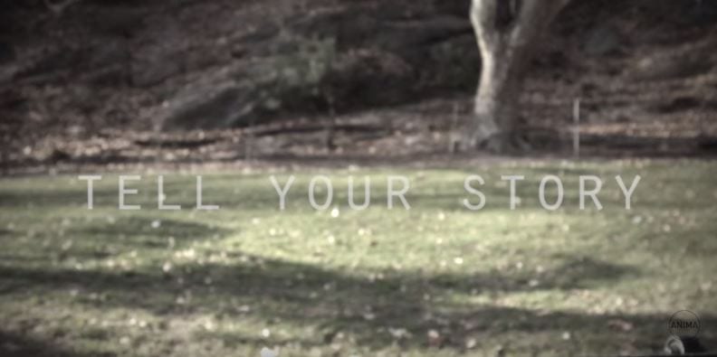 Tell Your Story (Video)