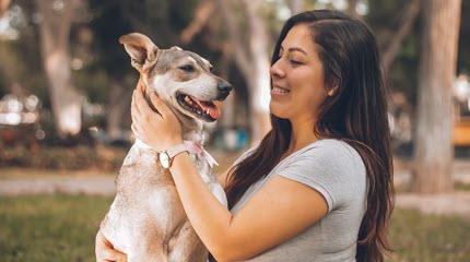 How Do I Know if I Have Found My Purpose?