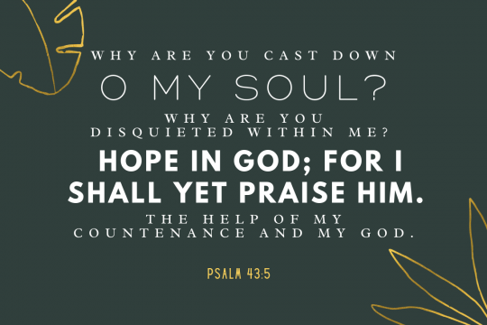 “Why are you cast down, O my soul? Why are you disquieted within me? Hope in God; for I shall yet praise Him. The help of my countenance and my God.”